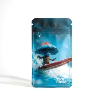 Shroomies Z-Lock Stash Bag (Small)