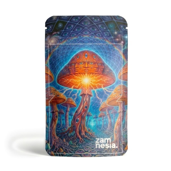 The Breakthrough Z-Lock Stash Bag (Small)