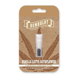 Vanilla Latte Automatic (Humboldt Seed Company) Feminized