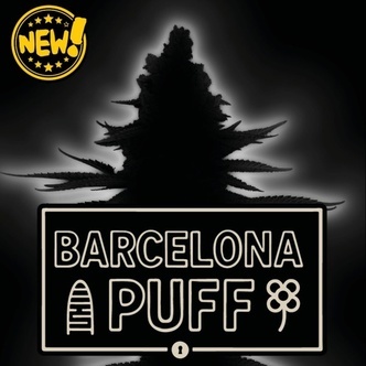 Barcelona Puff Auto (Seedstockers) Feminisiert