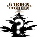 CBD Mystery Samen 1 (Garden of Green)