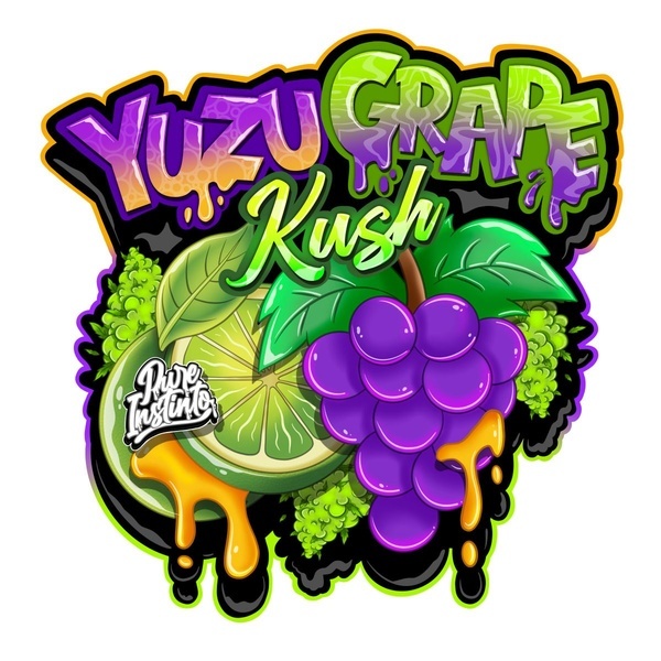 Yuzu Grape Kush (Pure Instinto) Feminisiert