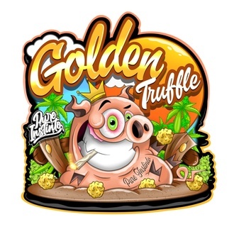 Golden Truffle (Pure Instinto) Feminisierte Samen