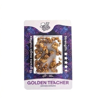 Golden Teacher Magische Tr&uuml;ffel