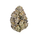 Lemon Cherry Runtz (Fast Buds) feminisiert