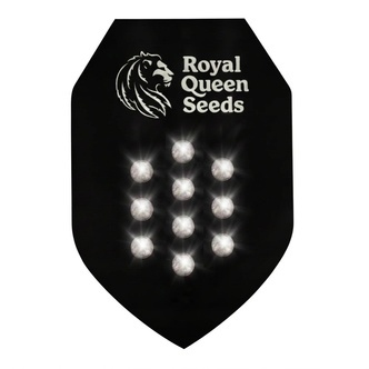 Autoflower Mystery Samen 10 (Royal Queen Seeds)