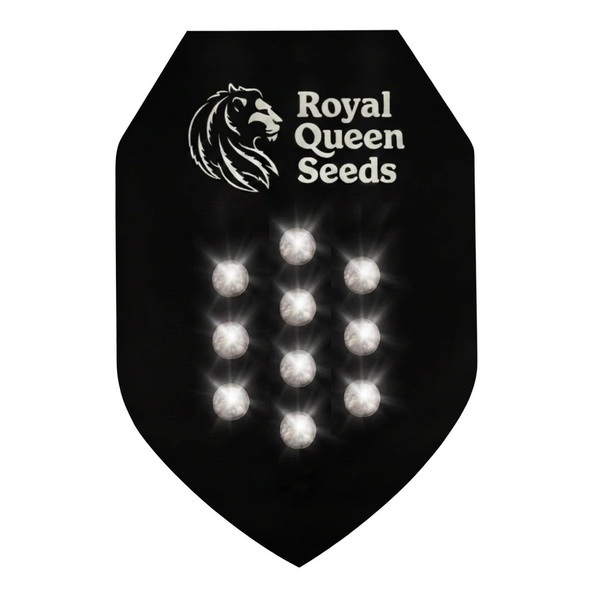 Autoflower Mystery Samen 10 (Royal Queen Seeds)