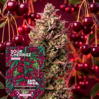 Sour Cherriez (Zamnesia Seeds) Feminisiert