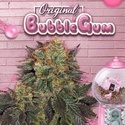 Bubblegum (T.H. Seeds) Feminisiert