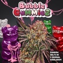 BubbleGummieZ (T.H. Seeds) Feminisiert