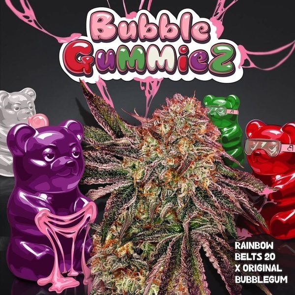 BubbleGummieZ (T.H. Seeds) Feminisiert