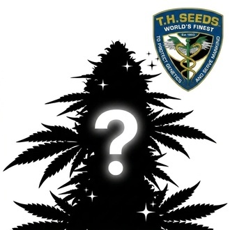 Autoflower Mystery Samen 2 (T.H. Seeds)