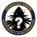 Feminisierte Mystery Samen 2 (Advanced Seeds)
