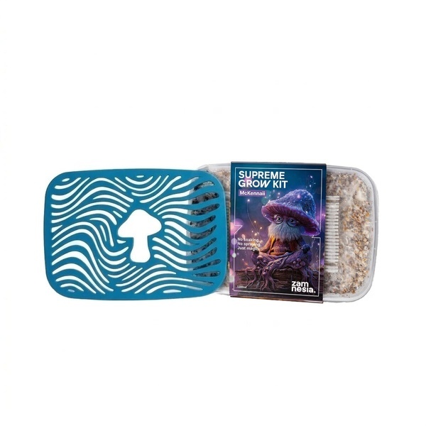 Pilz-Jubiläums-Set