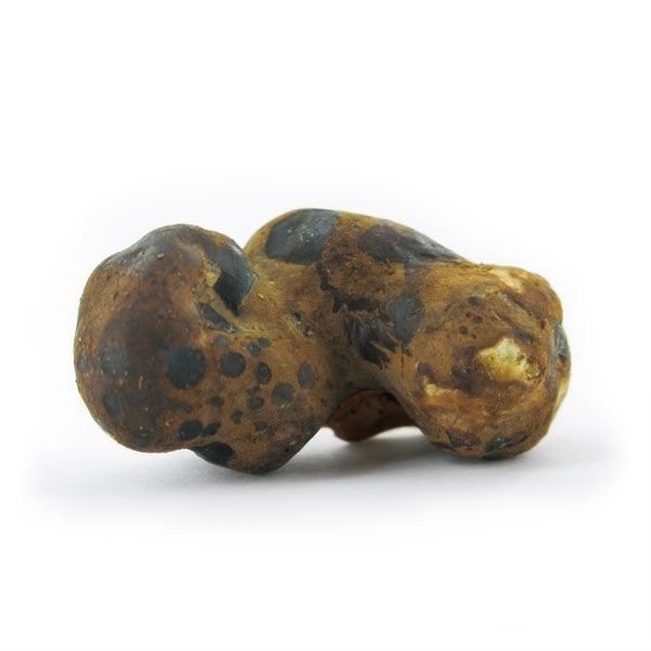 Fantasia Magische Trüffel