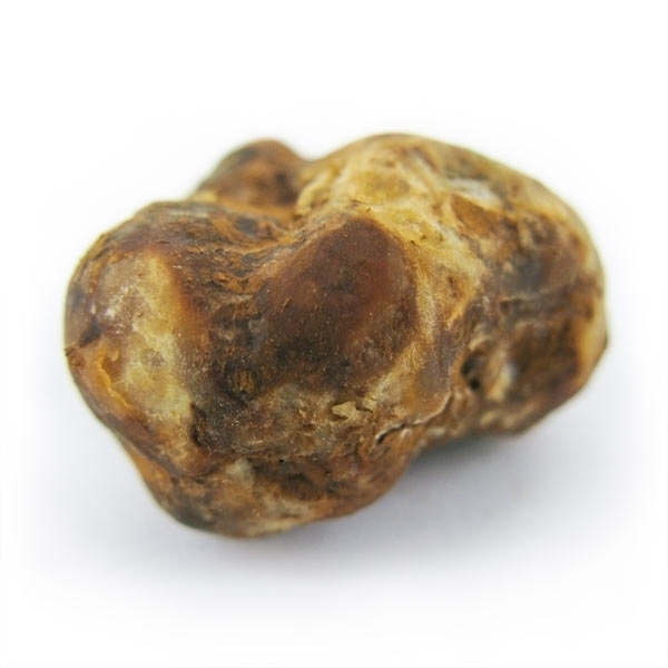 Pajaritos Magische Trüffel