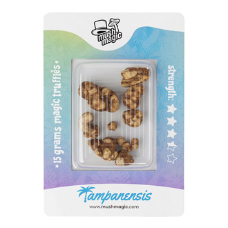 Tampanensis Magische Trüffel