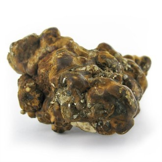 Hollandia Magische Trüffel