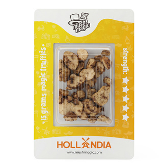 Hollandia Magische Tr&uuml;ffel