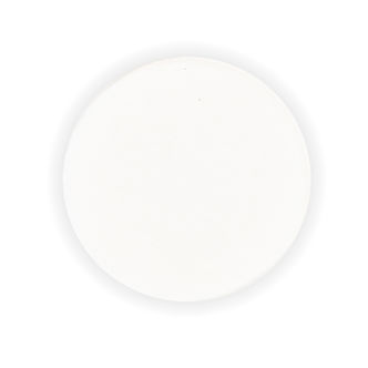 Filter für Extraktor BHO Roller (50 St)