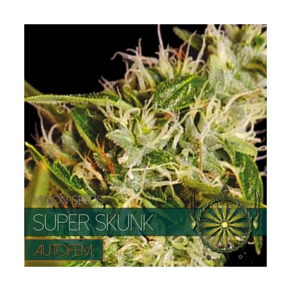 Super Skunk Autoflowering (Vision Seeds) feminisiert
