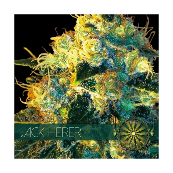 Jack Herer (Vision Seeds) feminisiert