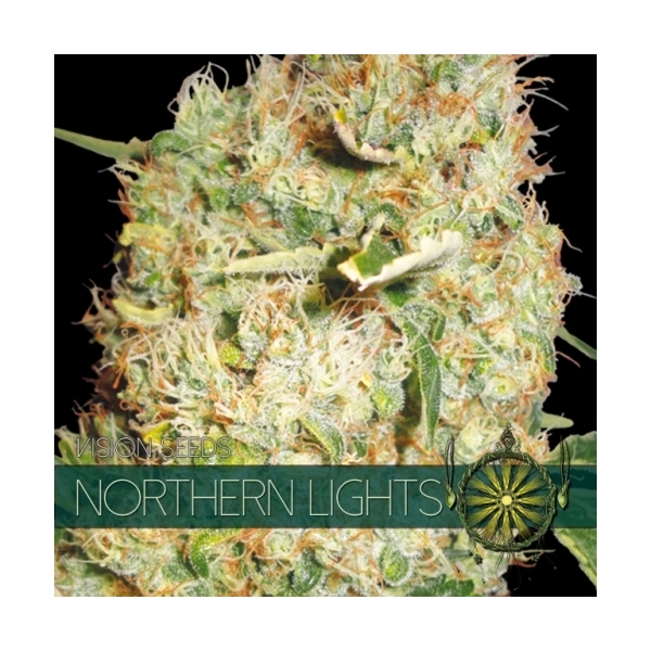 Northern Lights (Vision Seeds) feminisiert