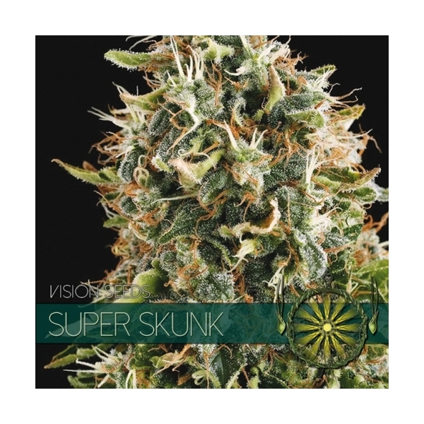 Super Skunk (Vision Seeds) feminisiert