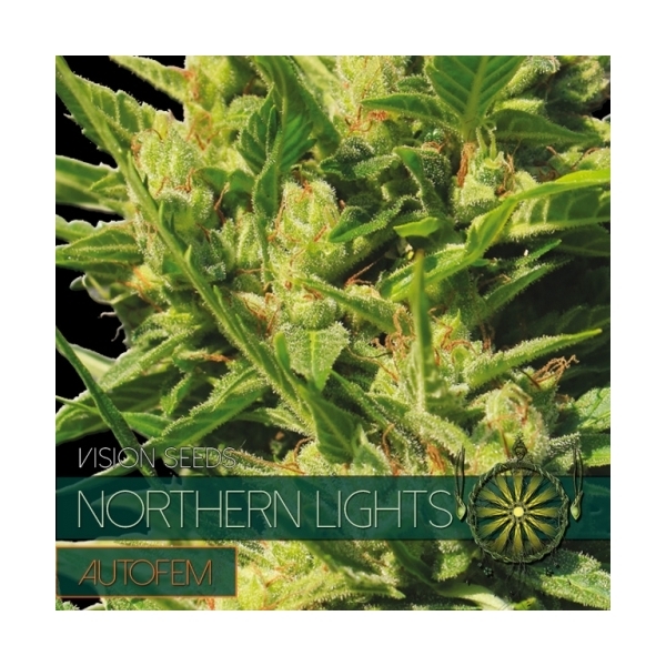 Northern Lights Autoflowering (Vision Seeds) feminisiert