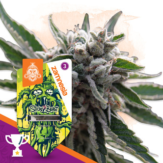 Sticky Beast Automatic (Zamnesia Seeds) feminisiert