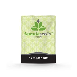 Indoor Mix (Female Seeds) feminisiert