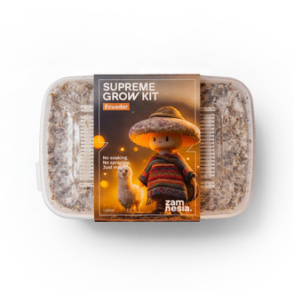 Zamnesia SUPREME Zuchtset 'Ecuador'