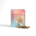 Kanna (Sceletium tortuosum) 10 Samen