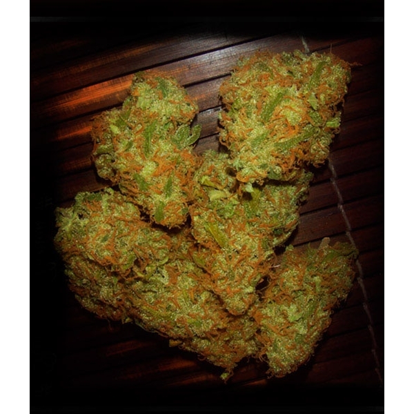 Amnezia VIP (VIP Seeds) feminisiert