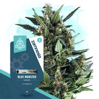 Blue Monster Automatic (Zamnesia Seeds) feminisiert Blue Monster Automatic (Zamnesia Seeds) feminisiert