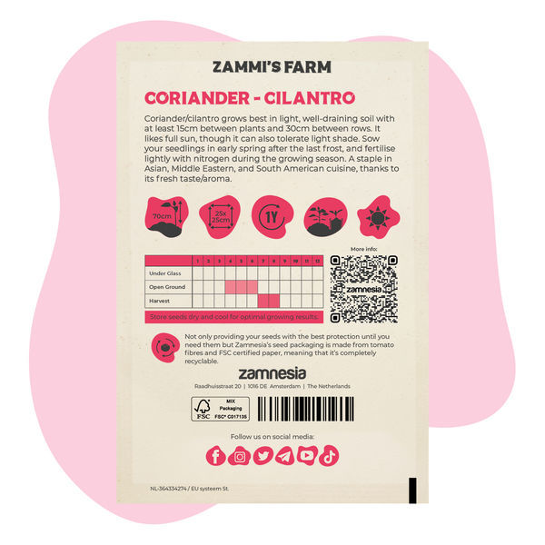 Koriander (Coriandrum sativum) Buddy Pack