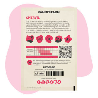 Kerbel (Anthriscus cerefolium) Buddy Pack