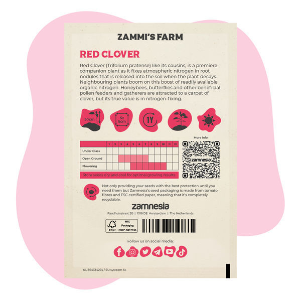 Rotklee (Trifolium pratense) Buddy Pack
