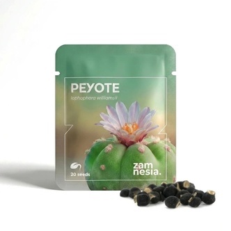 Peyote (Lophophora williamsii) 20 Samen
