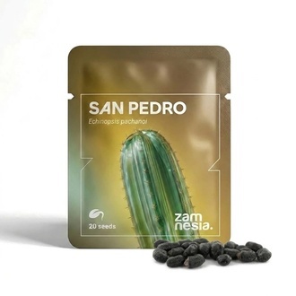 San Pedro (Echinopsis pachanoi) 20 Samen