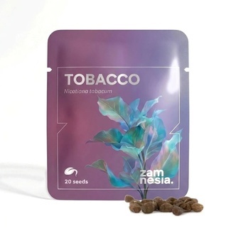 Tabak (Nicotiana tabacum) 20 Samen