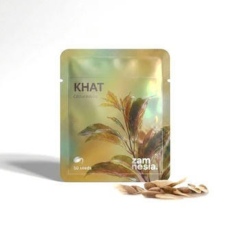 Kathstrauch (Catha edulis) 10 Samen