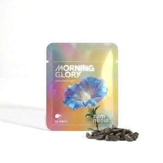 Himmelblaue Prunkwinde Samen (Ipomoea tricolor) 10g