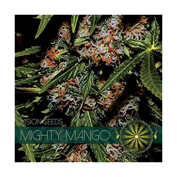 Mighty Mango Bud (Vision Seeds) feminisiert