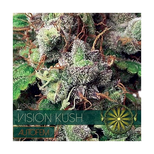 Vision Kush Autoflowering (Vision Seeds) feminisiert