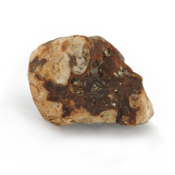 Valhalla Magische Trüffel