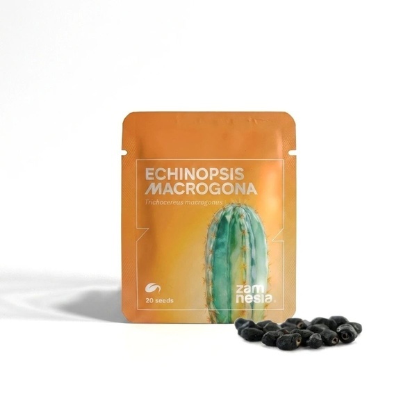 Echinopsis macrogona (Trichocereus macrogonus) 20 Samen
