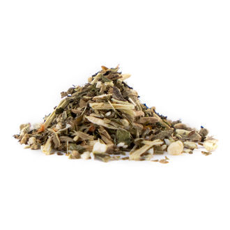 Afrikanisches Löwenohr | Leonotis leonurus Afrikanisches Löwenohr | Leonotis leonurus