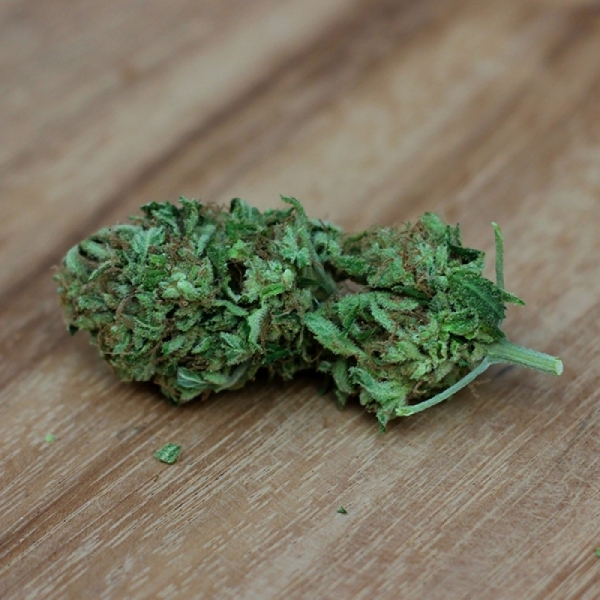 Sweet Harlem Diesel (Sumo Seeds) feminisiert