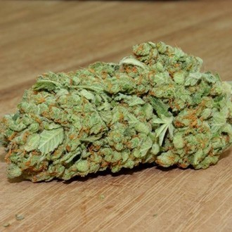 Thunderstruck (Sumo Seeds) feminisiert